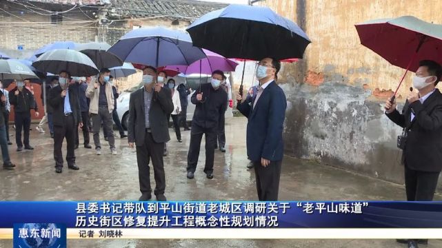 惠东县领导田建容,钟东海,周华,关瑞华,以及平山街道,有关单位相关