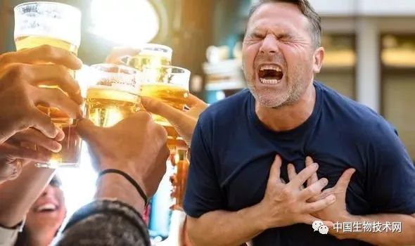 超37万人的遗传学证据来了无论多少饮酒都会增加高血压和心脏病风险