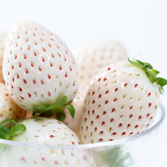 一言难尽,日本人痴迷的"白化病"草莓