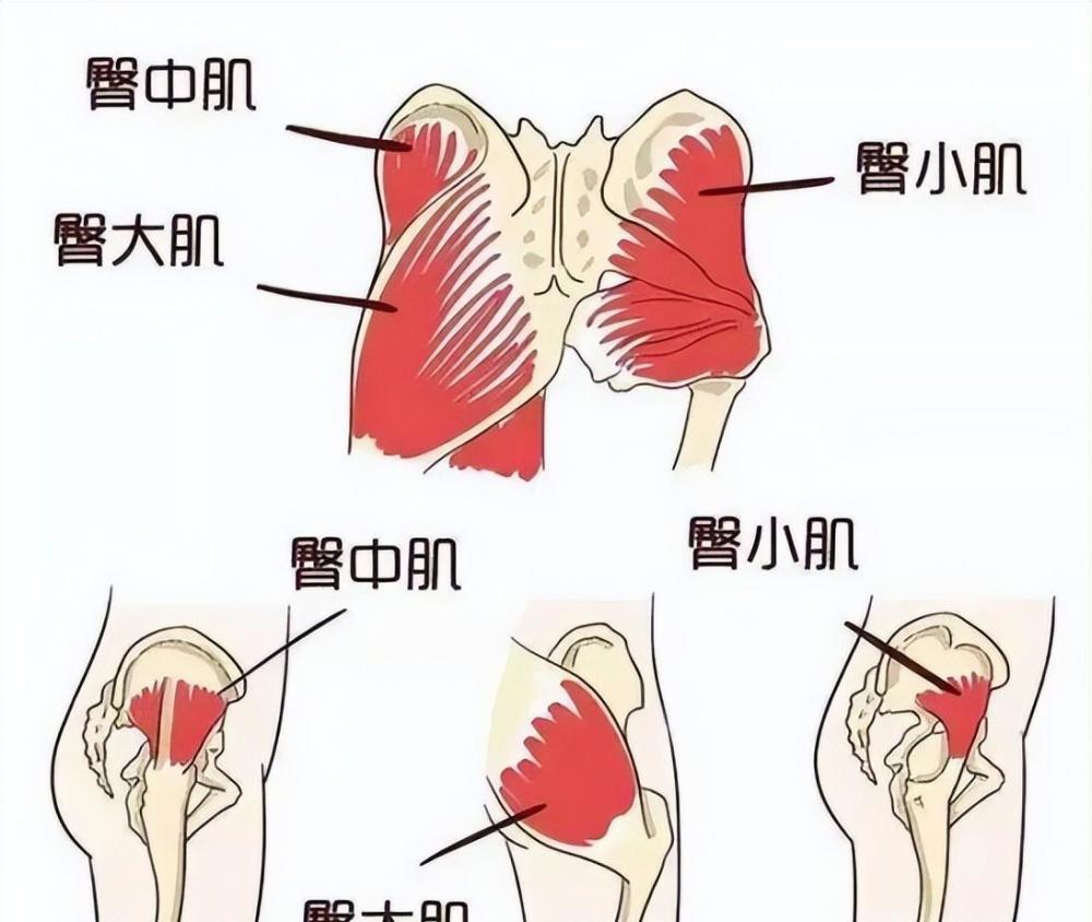 木村光希19歲翹臀迷人久坐如何解鎖蜜桃臀找對成因美臀加倍