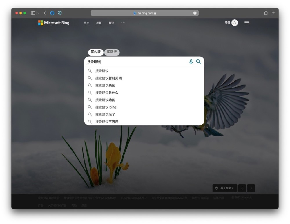 微软Bing必应在中国内地“搜索建议”功能已恢复目前考什么证比较有前景