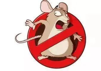 冬季灭鼠正当时 灭鼠知识早知道