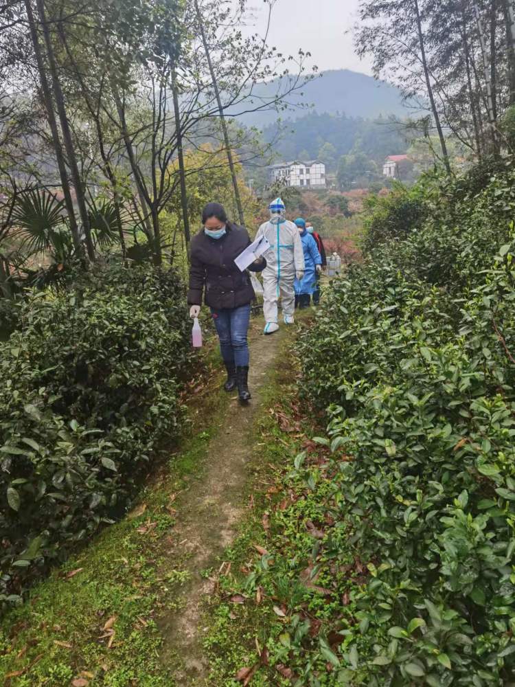 小分隊由村醫,村幹部,志願者等人組成,簡單地招呼後,大家各司其職.