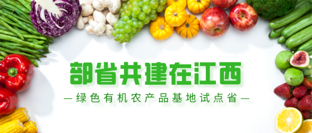 探索生态农业开发的绿色未来