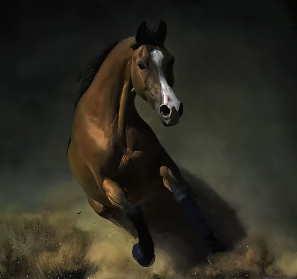 因为马受惊了,炮弹还在响起,短时间内也停不下来.