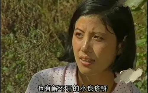 《篱笆女人和狗》,广告专区,海南大学起点论坛 