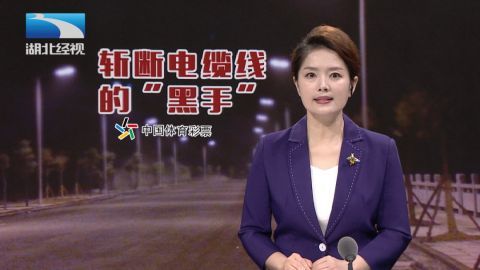 湖北经视《经视说法》记者:李亚琪,黄海飚通讯员:祝赟,韩骞