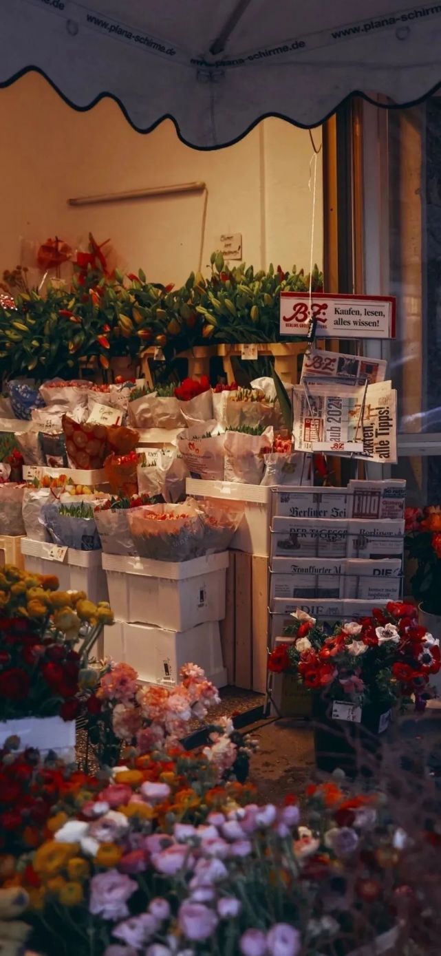 壁纸|ins风女生高级感壁纸