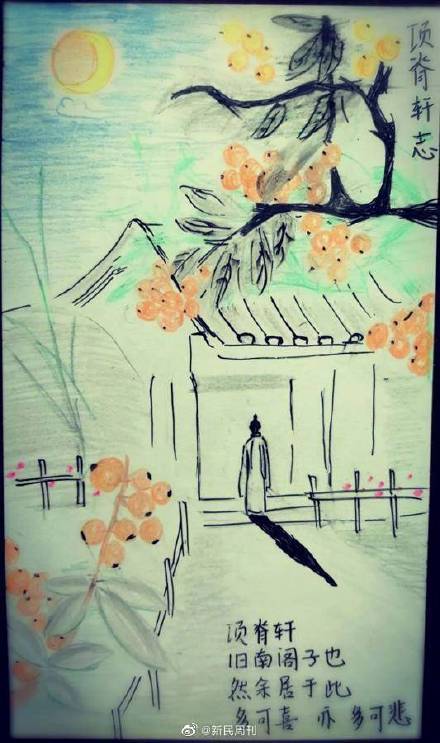 语文是美术老师教的项脊轩志被画成插画