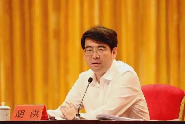 胡洪丨广东省政府副秘书长