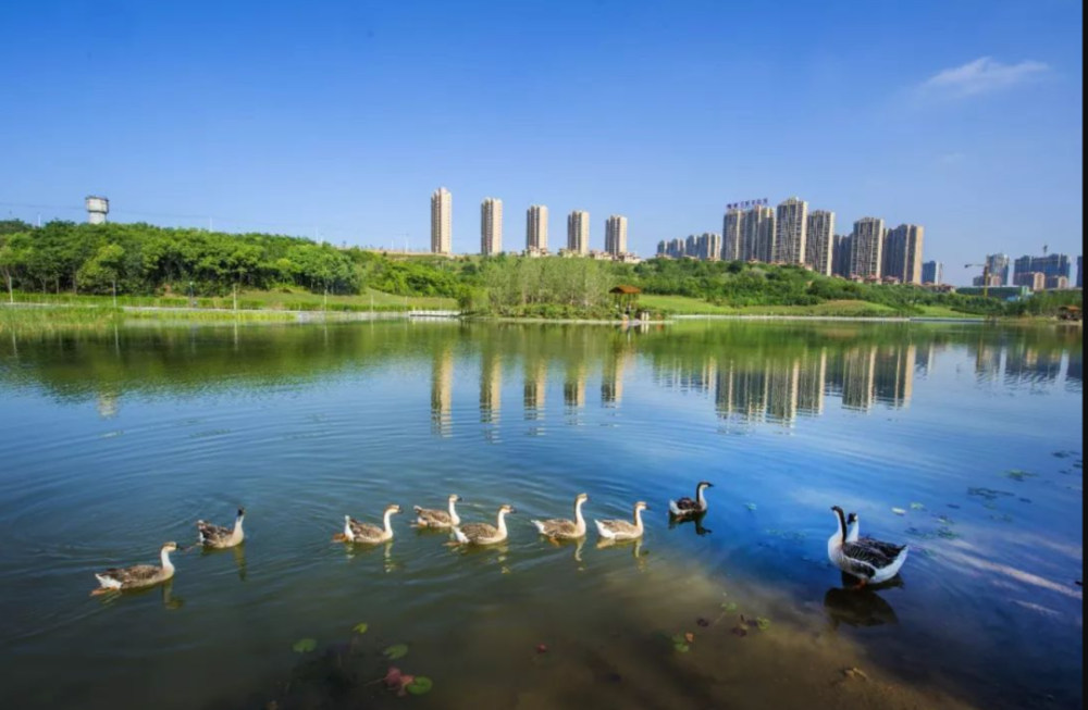 長鳴路以東,南三環以北,雁鳴湖以西的雁鳴湖核心板塊,與曲江新區相