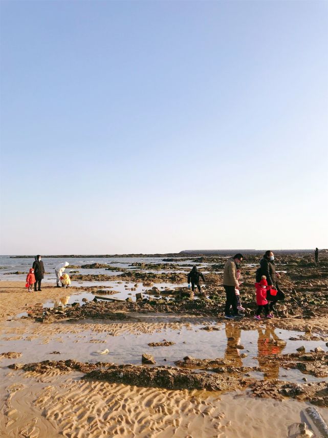 劉家灣趕海園,放鬆之旅