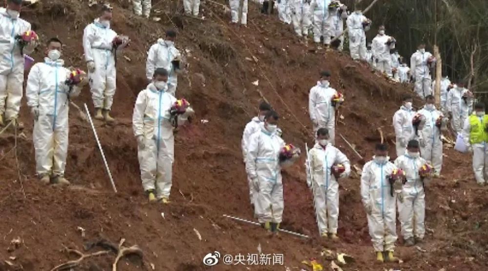 快来打卡！北京这里有一处“山桃花谷”，花海引人入胜免费城市夜景的视频素材