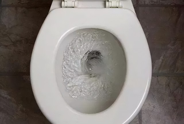 你每天拉的屎都去哪了最后回到了你的身边