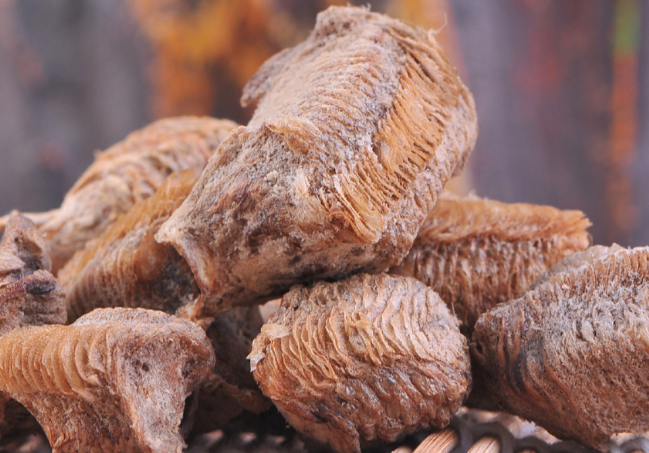 我小时候吃过螳螂别不信现在依然很抢手