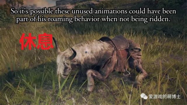 灵马原本会踢人?《艾尔登法环》玩家发现了托雷特的废弃动作模组