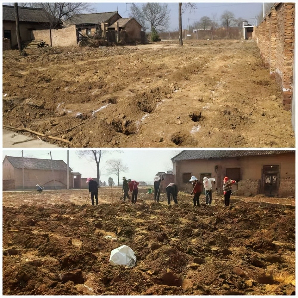 千阳县张家塬镇大胆探索辟蹊径经营绿化创三赢