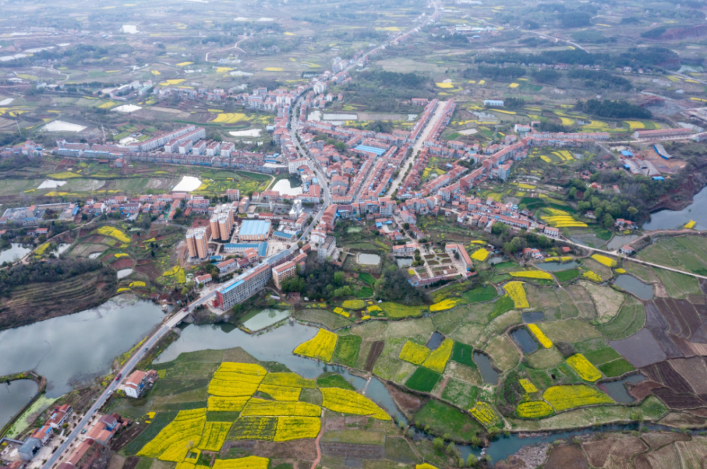 正在公示安陆1个乡镇5个村入选