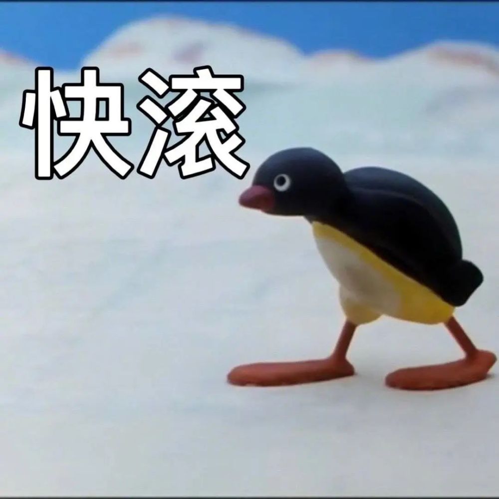 企鹅家族 pingu小企鹅表情合集_腾讯新闻