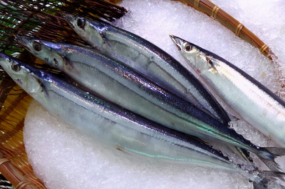 4,鲅鱼冬天我们不是常常会包饺子吃吗,买鲅鱼来剁馅包饺子吃就相当不