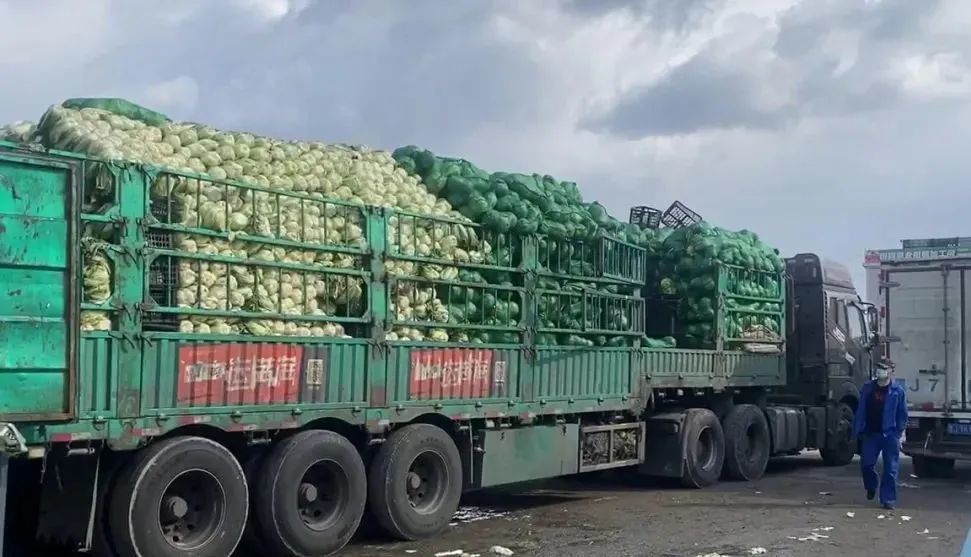 在哈尔滨龙园农贸批发市场,运送蔬菜水果的货车来往不断,工作人员介绍