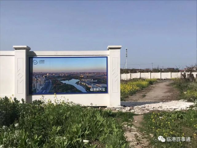 临港投控集团67万祥三灶港商文旅项目迎来新进展