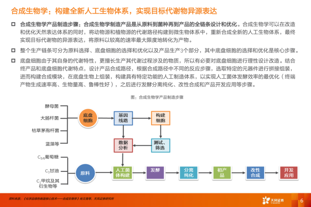 合成生物学未来已来开启造物时代