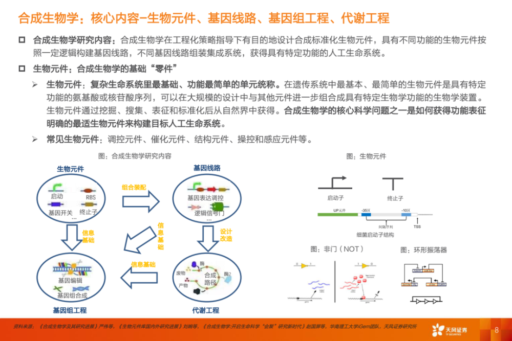 合成生物学未来已来开启造物时代