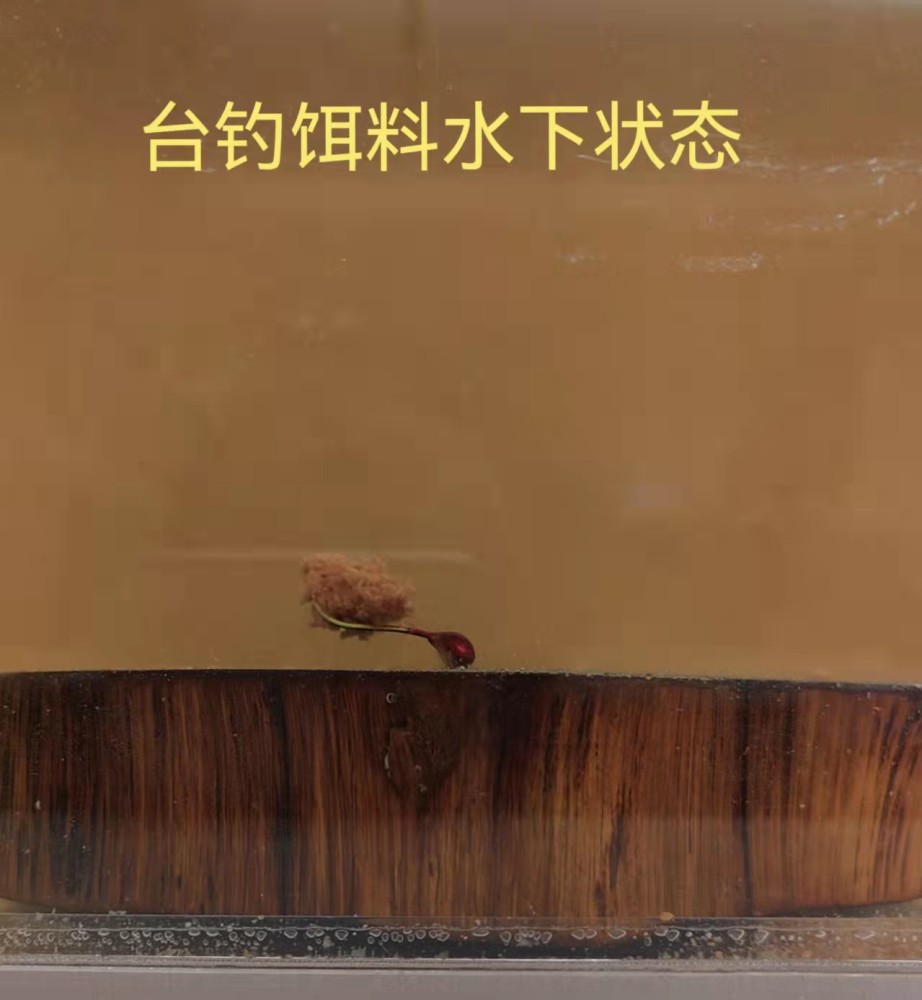 动态朝天钩 的特点以及钓技钓法的探讨 腾讯新闻