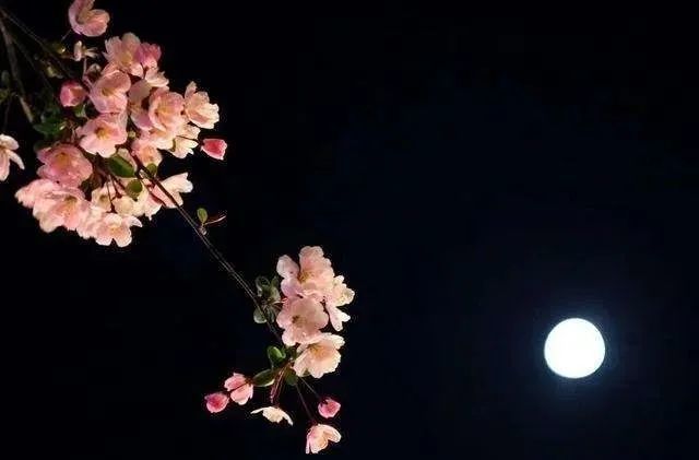 一弯浅月,一份深念