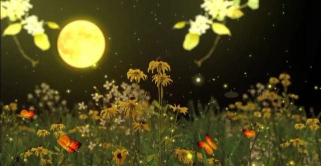 一弯浅月,一份深念