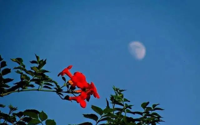 一弯浅月,一份深念