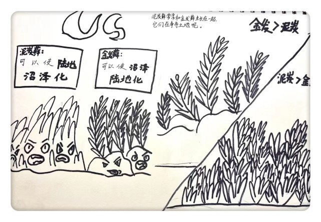陈周佳彤的自然笔记泥炭藓生长环境多为沼泽地.