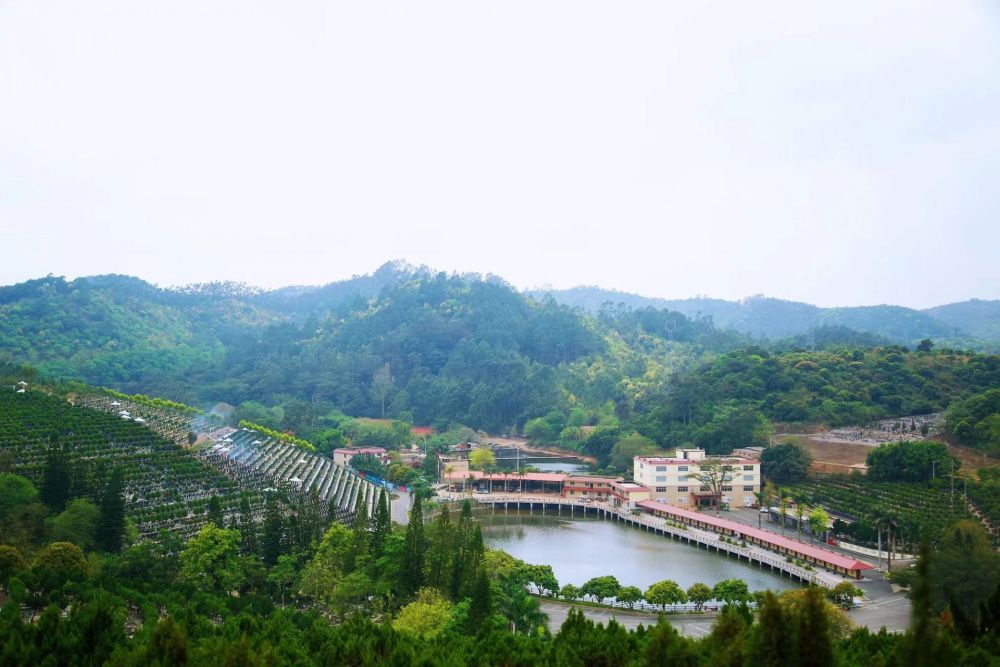 南宁青龙岗长安园推行多种形式节地生态葬让清明更显气清景明