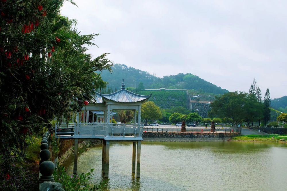 南宁青龙岗长安园推行多种形式节地生态葬让清明更显气清景明