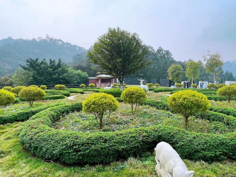 南宁青龙岗长安园推行多种形式节地生态葬让清明更显气清景明