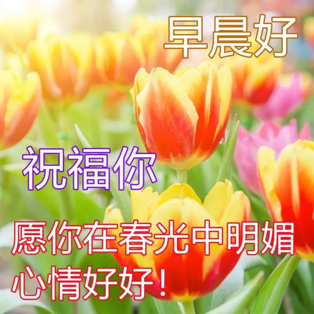 我陪著期待在遠方對你祝福願你幸福早安