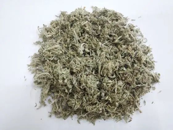 茵陳為菊科植物濱蒿或茵陳蒿的乾燥地上部分.