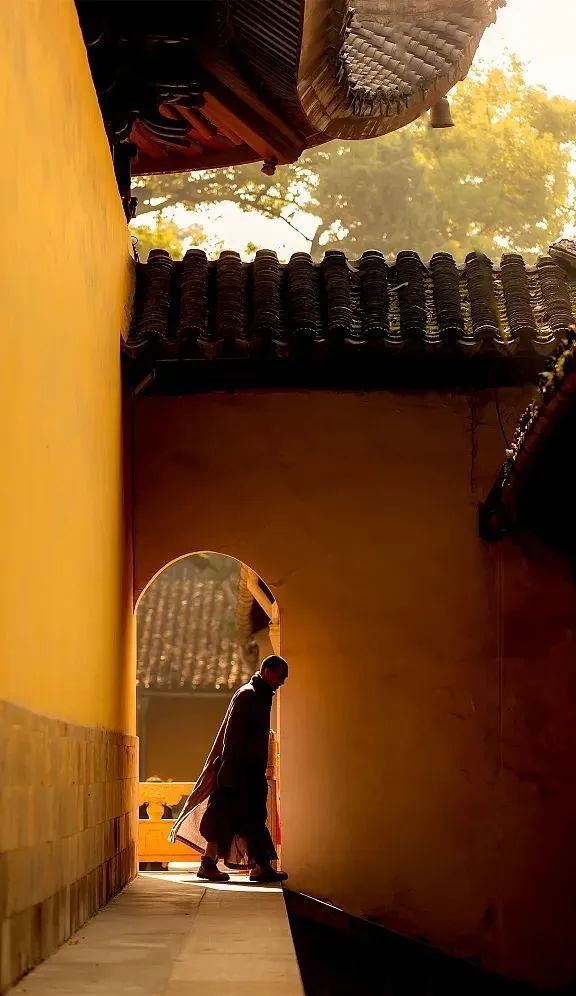 遁入佛门的名校毕业生