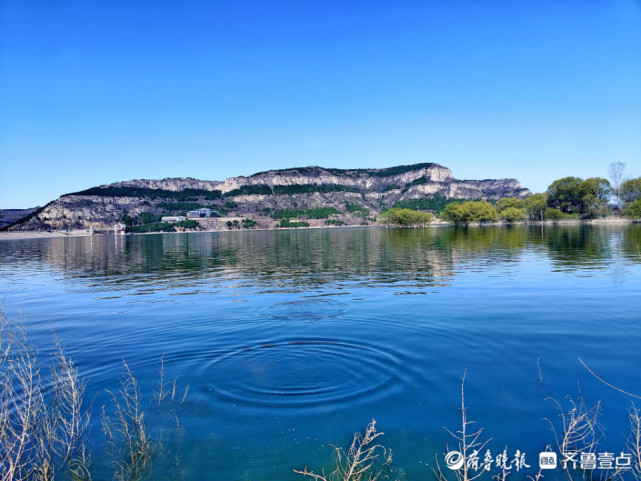 好景山东鹅黄映碧水春季济南卧虎山水库碧水蓝天风景如画