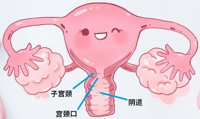 宮頸息肉怎麼處理最好?