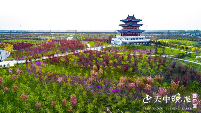 全媒體記者鏡頭中的西平嫘祖海棠園,嫘祖生態溼地公園,春意盎然,鳳凰