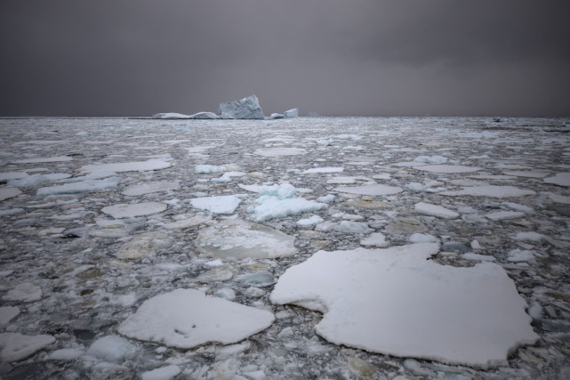 南极康格冰架崩解:与气温偏高,海冰消融及海浪冲击影响有关