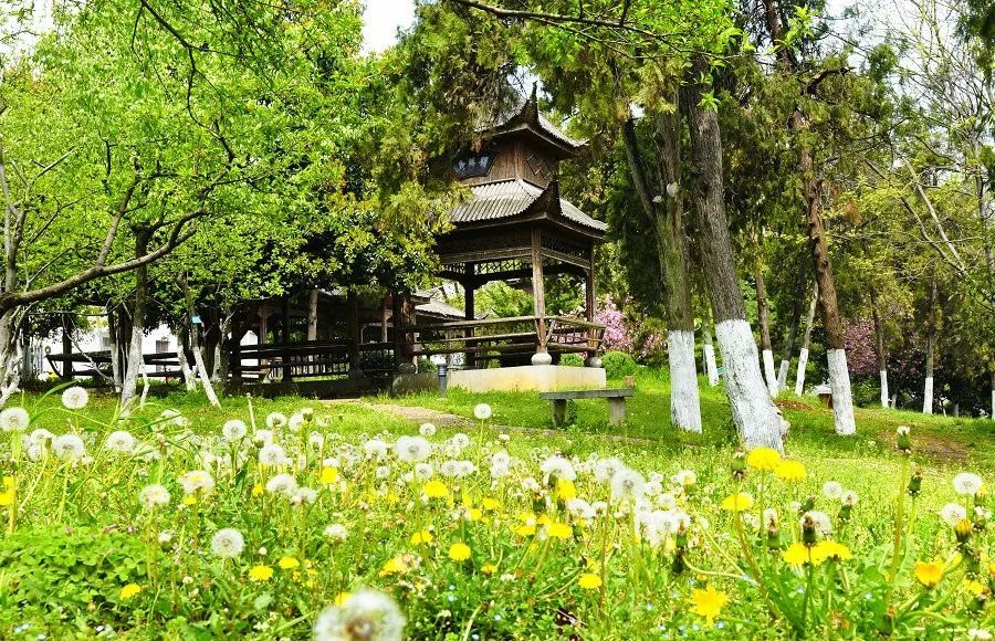 2022分类招生校考大纲安徽林业职业技术学院