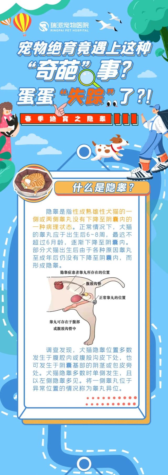 宠物绝育竟遇上这种"奇葩"事?蛋蛋"失踪"了?!|绝育|蛋蛋