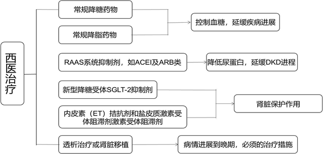 西醫治療方式現代醫學對糖尿病腎臟機制的認識分為五期(按mogenson