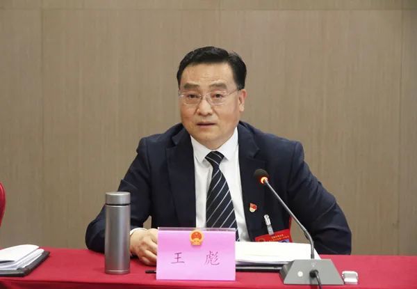 聚焦两会王彪参加旬阳代表团审议政府工作报告