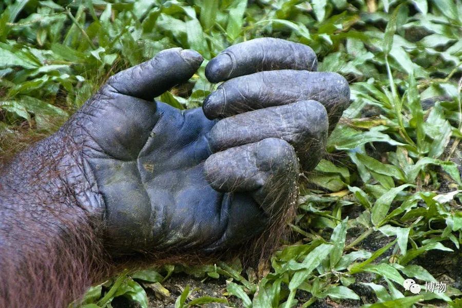 谁说看手相不靠谱今天我给你算一卦