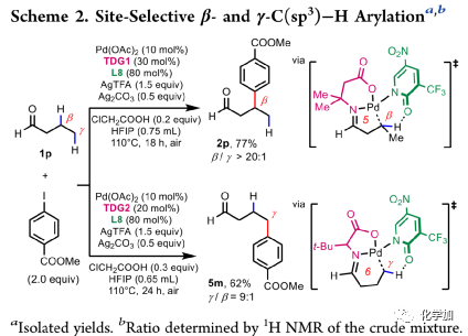 余金权教授课题组最新jacs