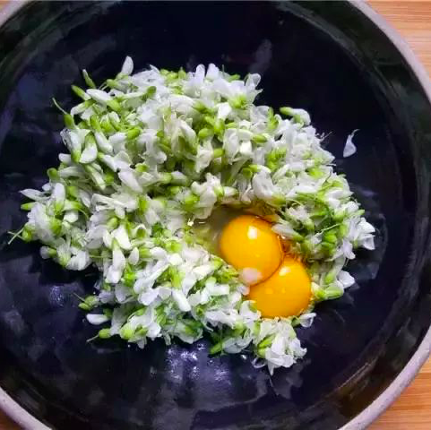 春日限定飘香蒸槐花饭来啦